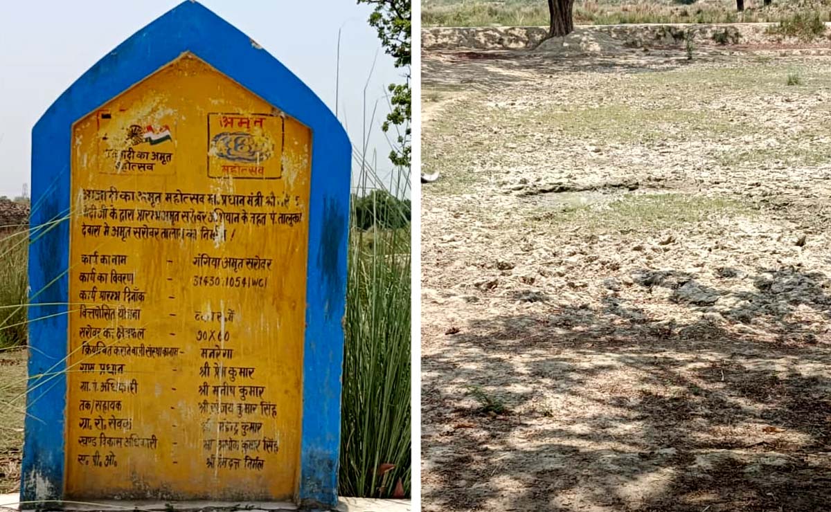 अमृत सरोवर तालाब बने शोपीस, बिन पानी-पशु पक्षी व्याकुल