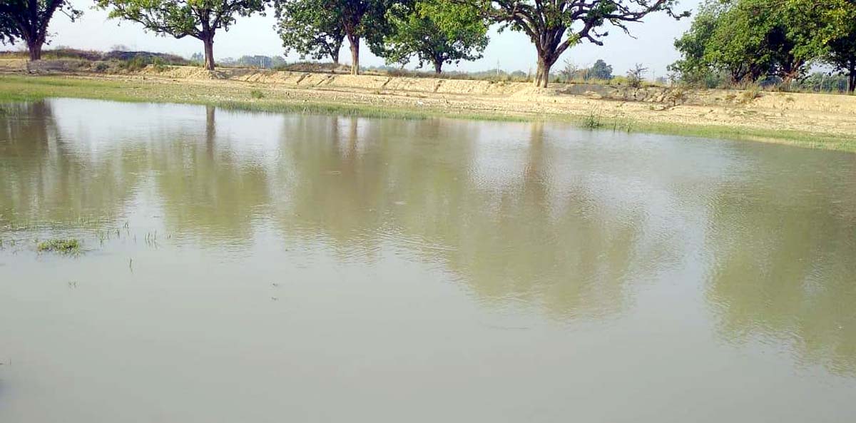 देवारा में बढ़ती गर्मी में अमृत सरोवर से प्यास बुझा रहे जानवर