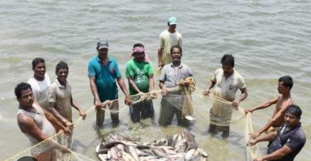 14 तक आवेदन करें मत्स्य पालक , वहीं प्रतिबंध के बाद भी आखेट जारी