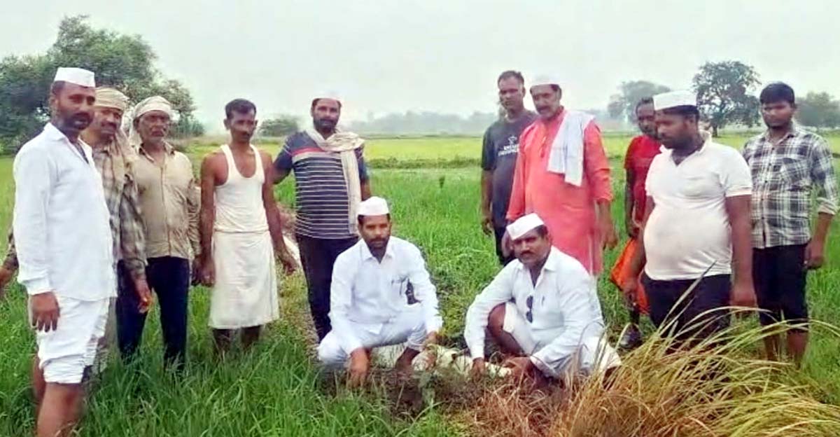 कांग्रेस सेवादल के प्रदेश अध्यक्ष ने किया पौधरोपण, कुसुम्भी व बहरौंहा में रोपे