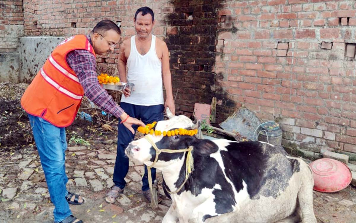 चेयरमैन ने पशुओं को तिलक लगाकर की पूजा, फल, गुड़, बिस्कुट ब्रेड खिलाया