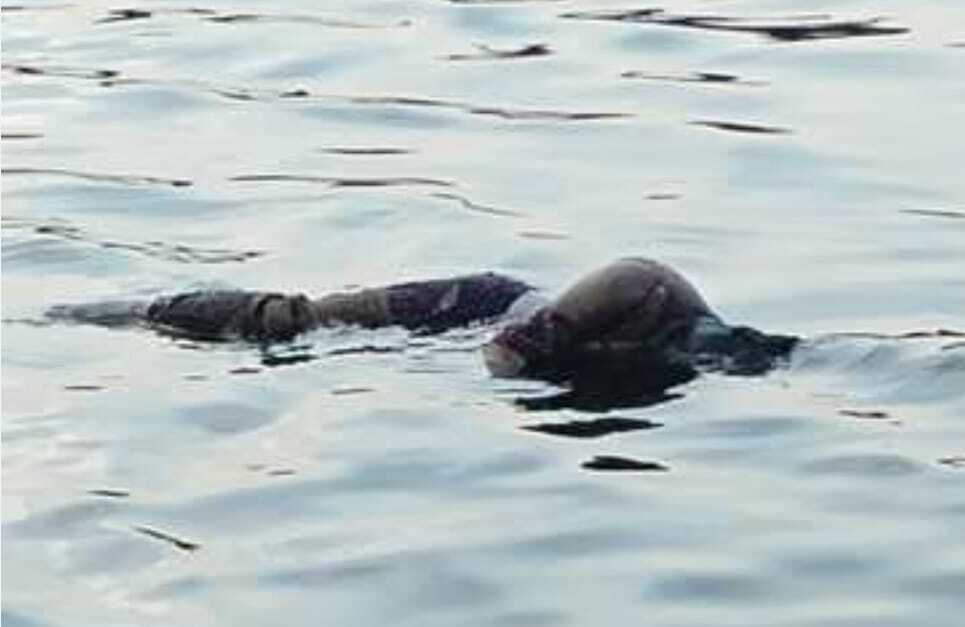 युवती का नहर में उतराता मिला शव, लघु खबरों के साथ