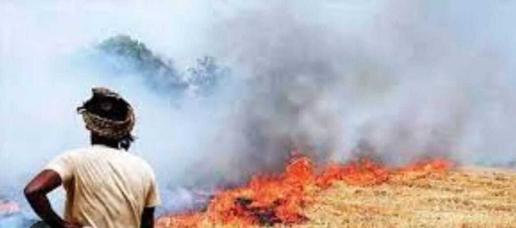 डीएम ने किसानों से की पराली को गौशाला में दान करने की अपील