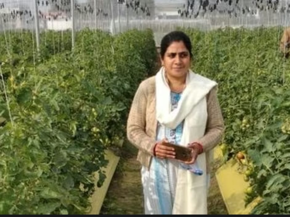 पॉली हाउस खेती से किसानों की आय में बढ़ोतरी, बेमौसम सब्जियों की बढ़ी मांग