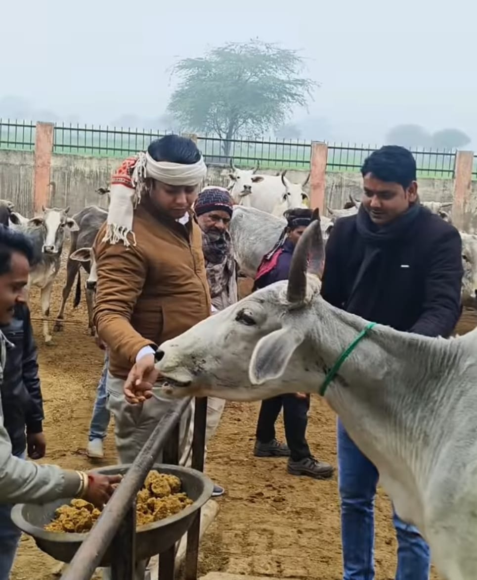 कान्हा गौशाला, सुमेरपुर में गौमाता को गुड़-चना बौहरी अर्पित