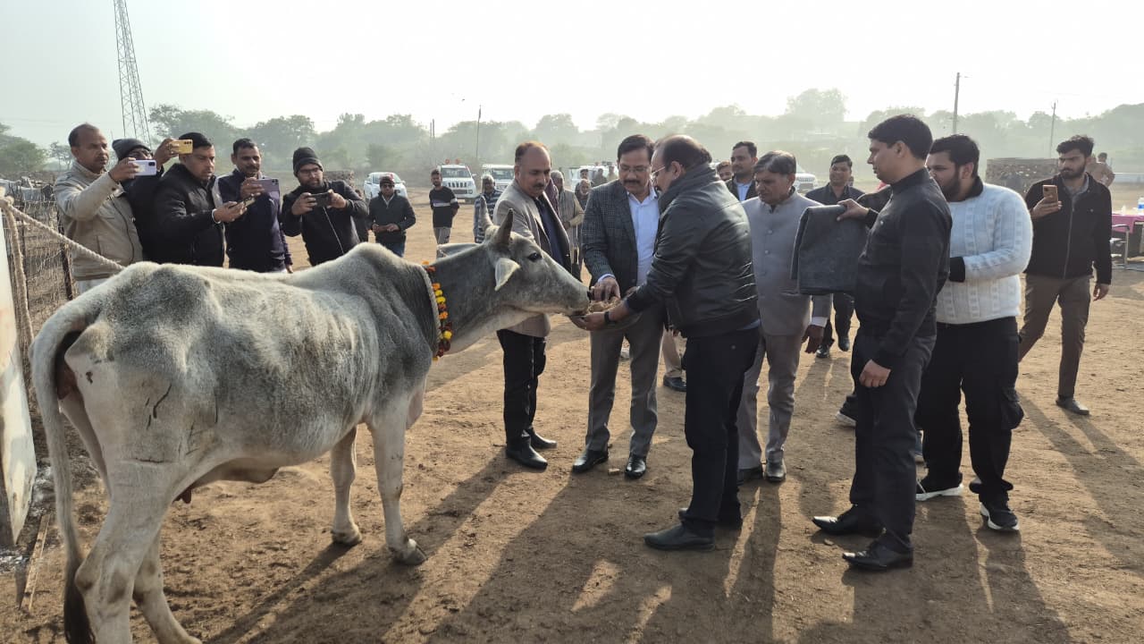 डीएम ने गौशाला पहुंचकर पहनाए काऊ कोट, गुड़ खिलाकर लिया हालचाल