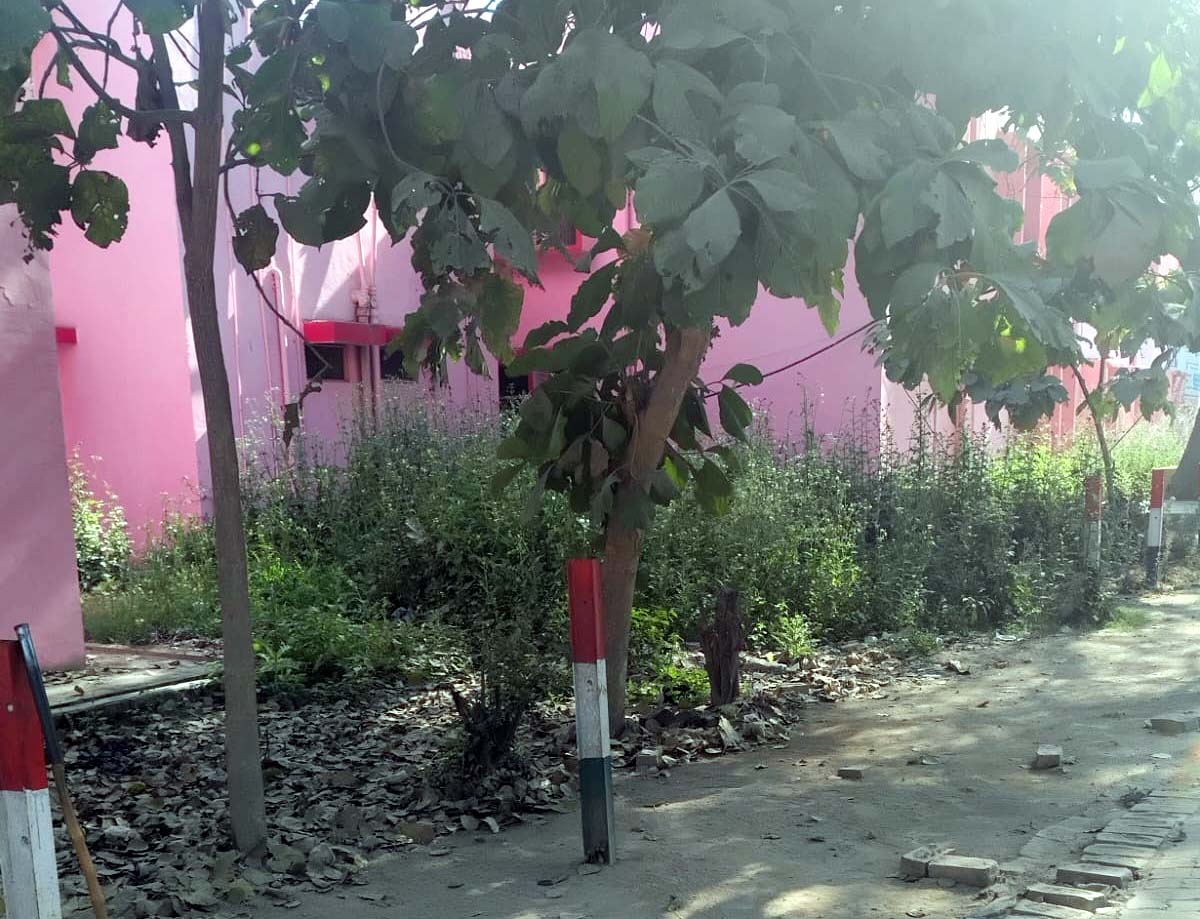 परिसर के पास गंदगी, स्वच्छता की खोल रही पोल,अन्य लघु खबरों के साथ