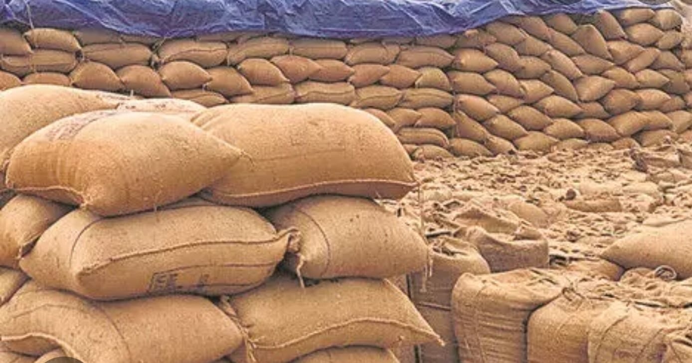 अन्नदाता की मेहनत पर भारी मिलर और केंद्र प्रभारियों की जुगलबंदी, खरीद में जादूगरी