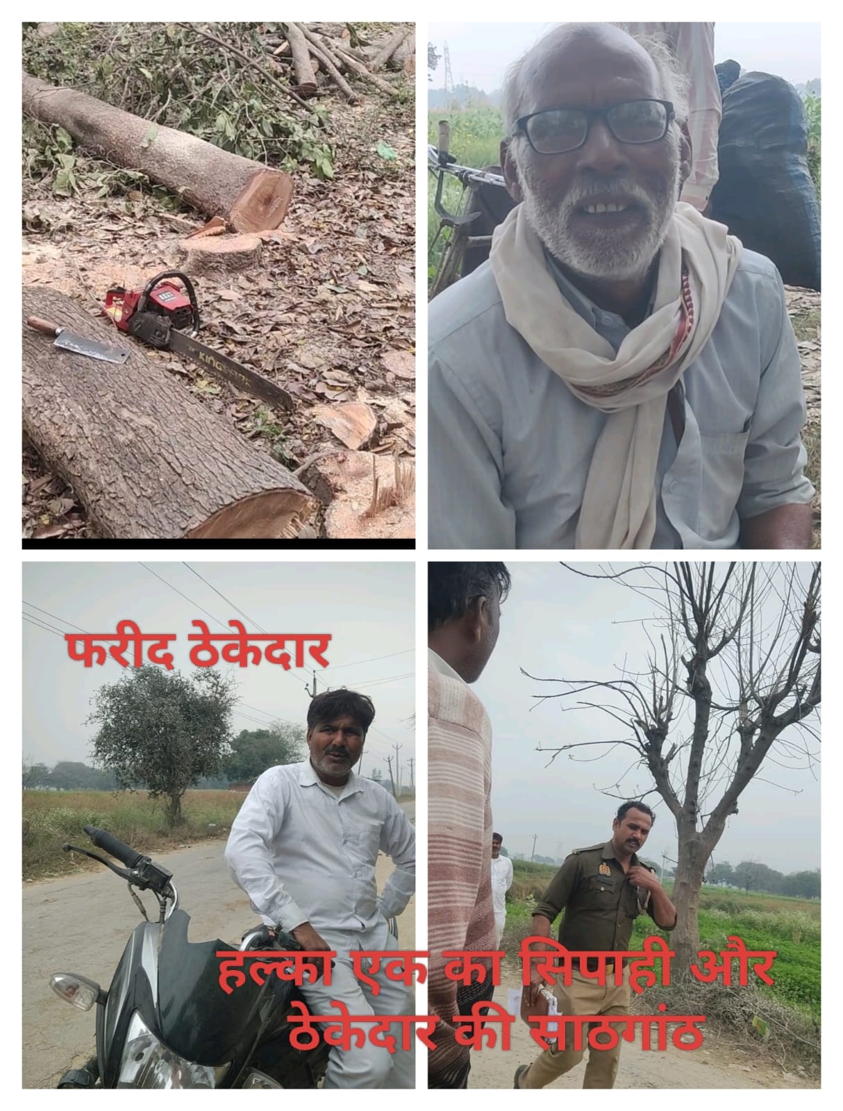 सिपाही-ठेकेदार बेखौफ आश्वासन में दफन हुई कार्रवाई,बाग में अवैध कटान पर पर्दा