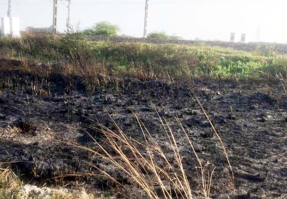 हाइटेंशन तार से निकली चिंगारी, 150  बीघे गेहूं की फसल राख