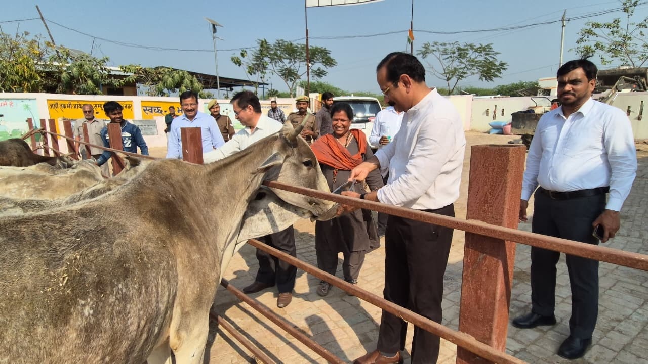  चामरी गौशाला का मंडलायुक्त व जिलाधिकारी ने किया निरीक्षण