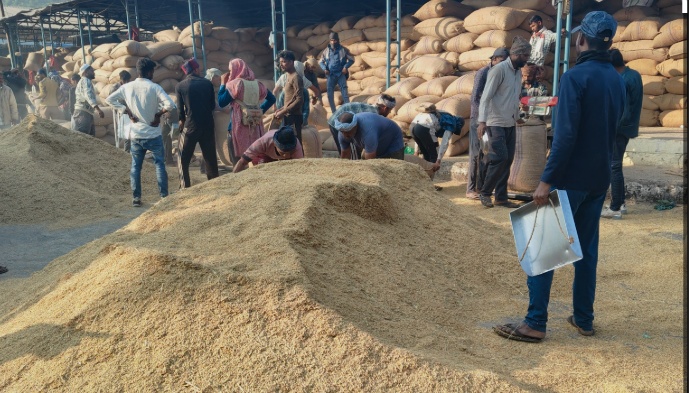 गेहूं खरीद के पहले दिन दिखी अव्यवस्थाएं,अन्य लघु खबरों के साथ