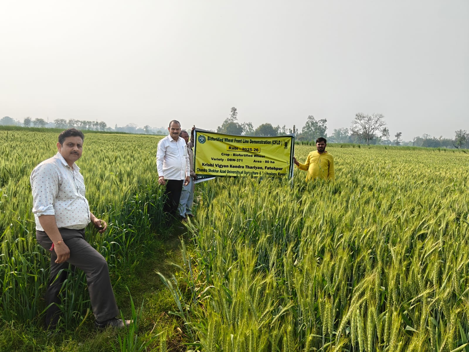 गेहूं की बायोफार्टिफाइड प्रजाति डी बी डब्ल्यू -371 के क्लस्टर प्रदर्शन पर भ्रमण
