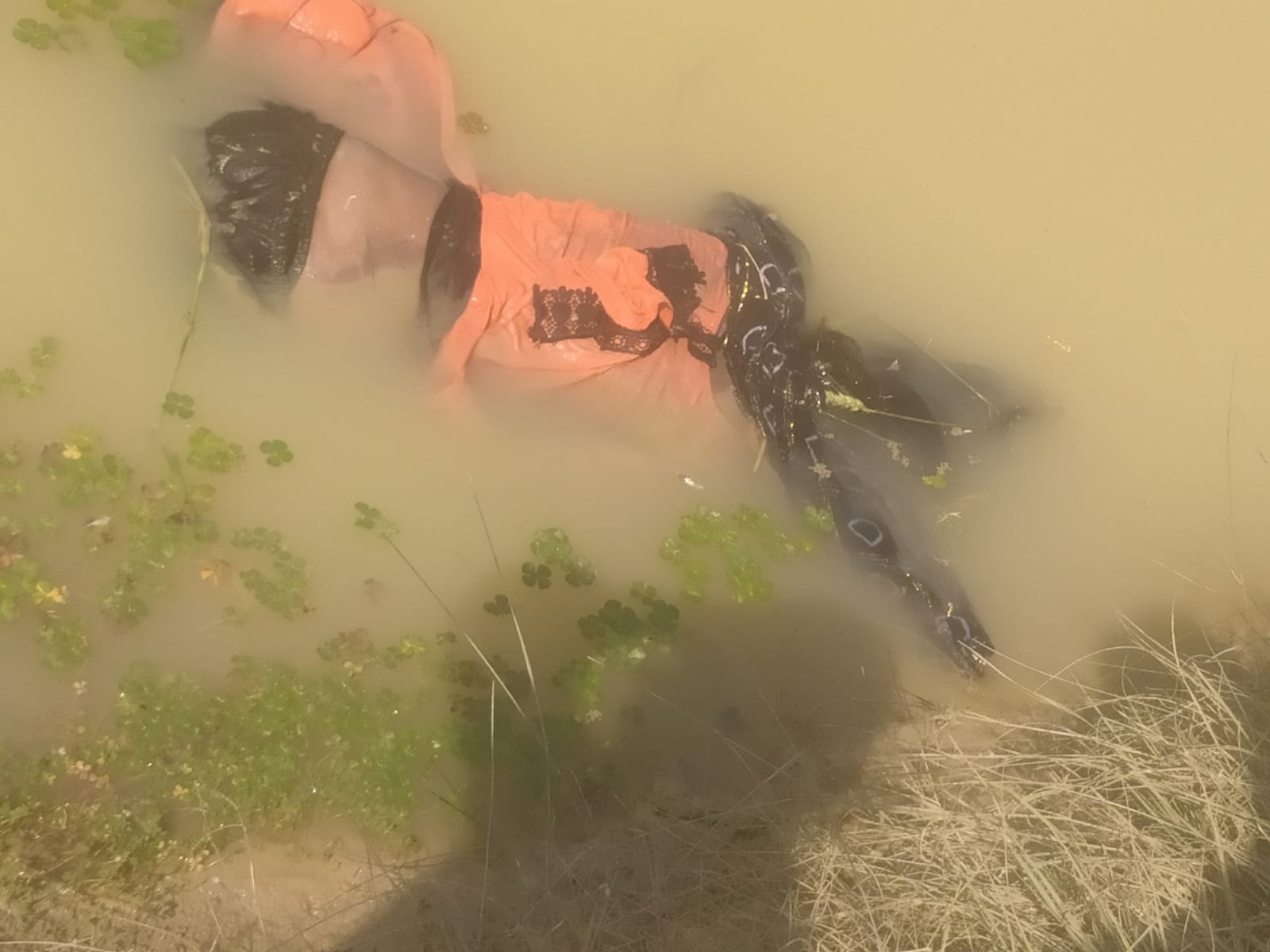 गड्ढे में उतरता मिला युवती का शव, मचा हड़कम्प, अन्य लघु खबरों के साथ