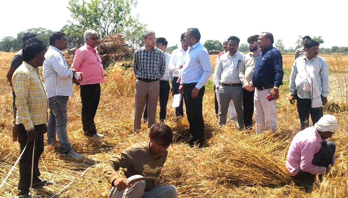 एप में उपज का आंकलन ससमय फीड कराने के निर्देश