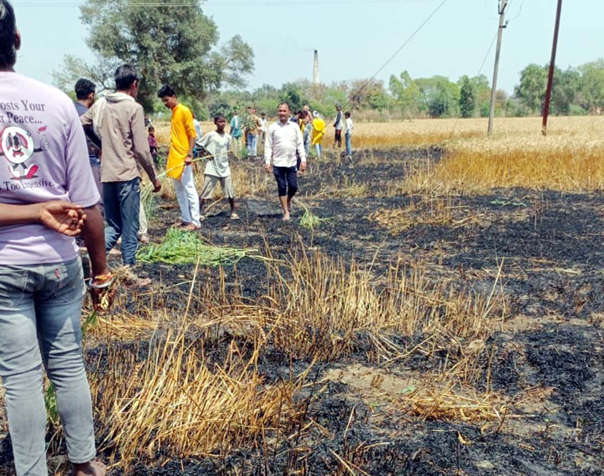 एचटी लाइन से लगी आग, तीन बीघा गेहूं राख