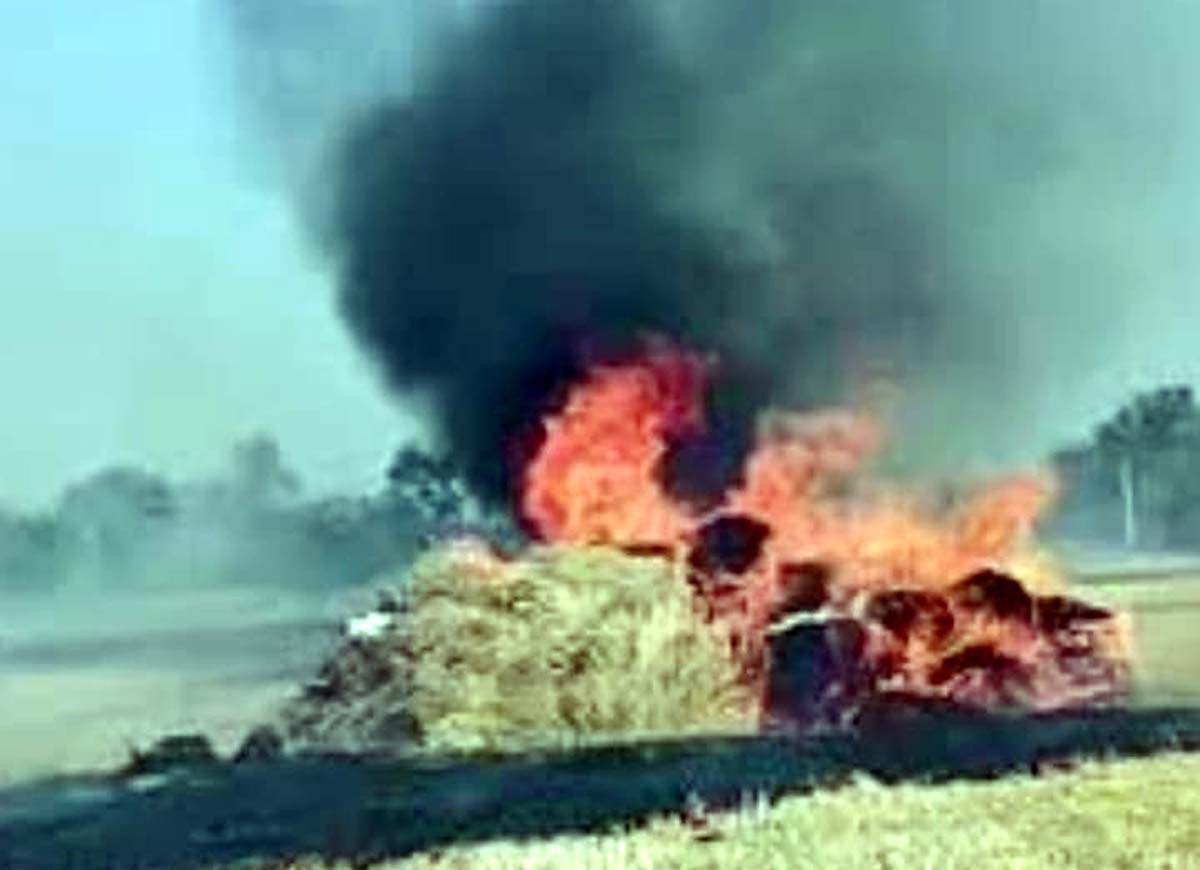 अज्ञात कारणों से पांच बीघे गेहूं की फसल जलकर राख,अन्य लघु खबरों के साथ