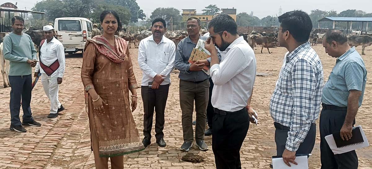गौशाला का संचालन संतोषजनक न पाए जाने पर बीडीओ व सचिव से स्पष्टीकरण