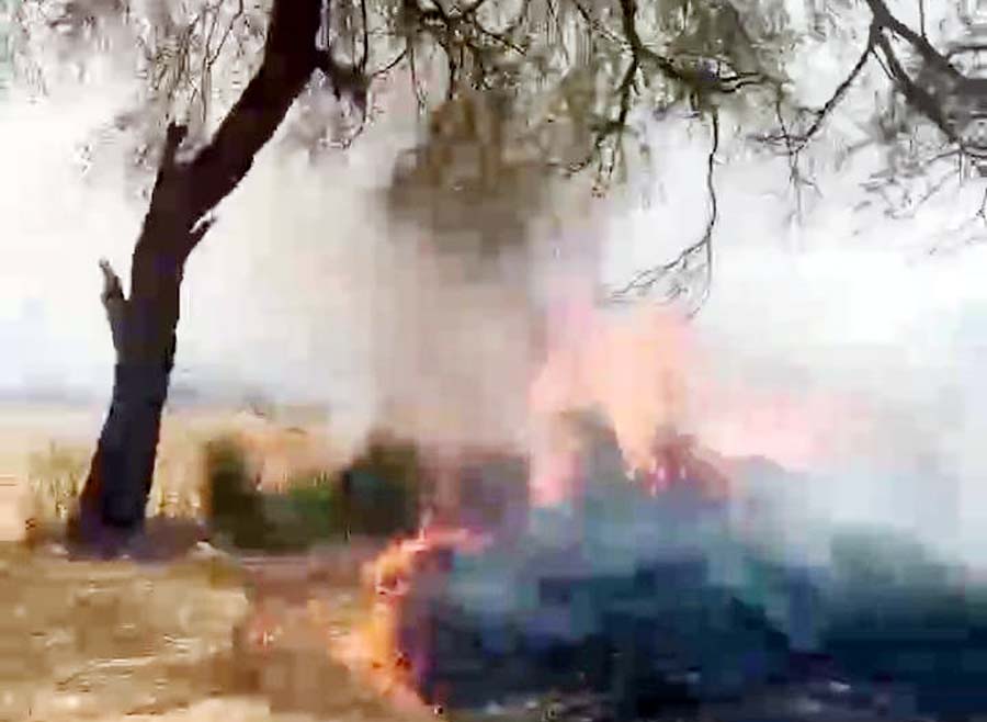 भीषण आग से बारह बीघे गेहूं की फसल राख, हुआ भारी नुकसान