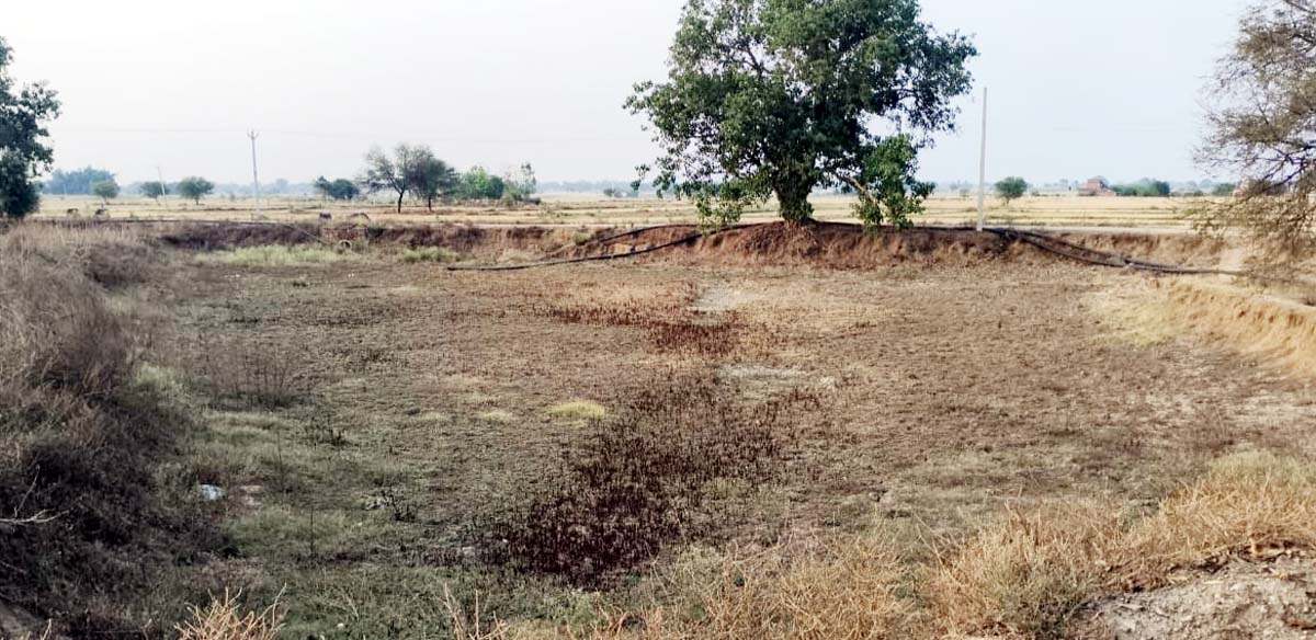 दिखाई दे रही जिम्मेदार अधिकारियों की उदासीनता