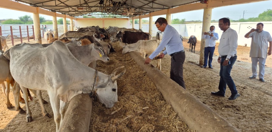 डीएम ने ‘सेंट्रल पीवोट इरिगेशन सिस्टम’ का किया निरीक्षण, अधिकारियों को लगाई फटकार