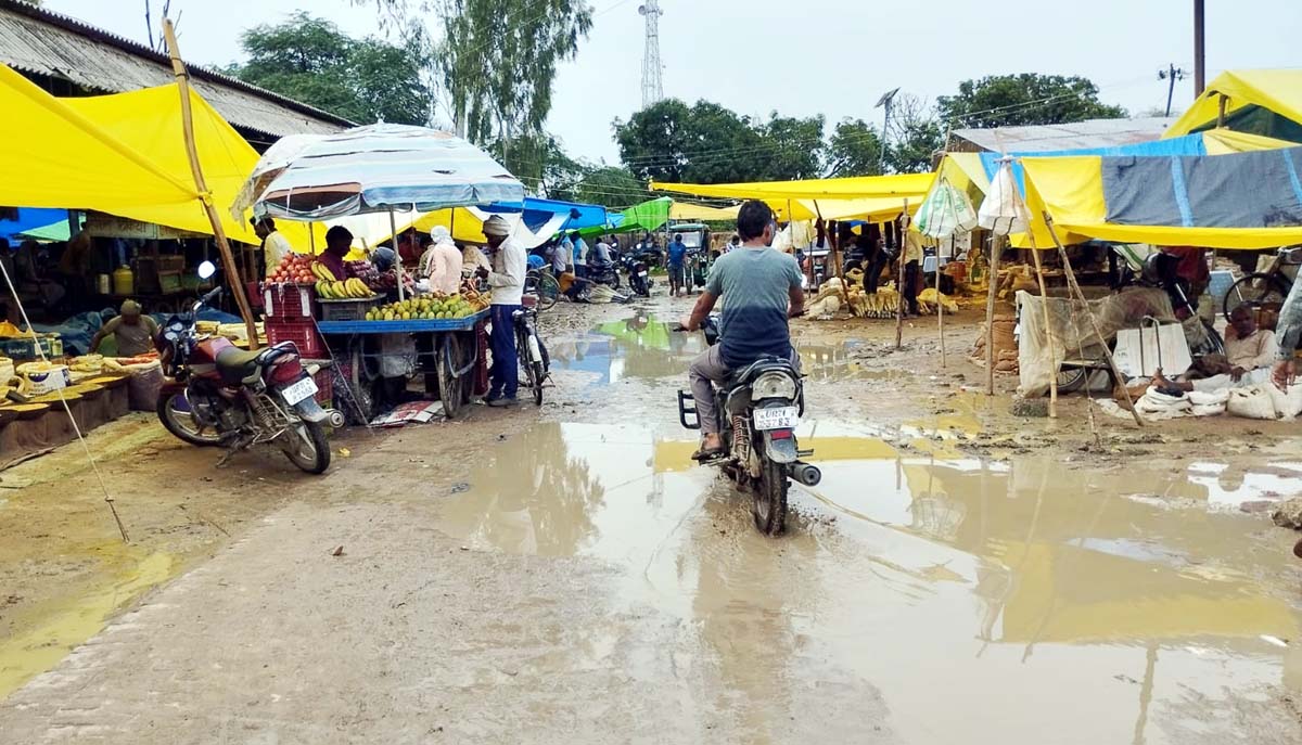 बरसात में तालाब बनी मंडी, जलभराव से किसान- व्यापारी परेशान