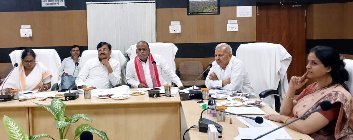 जिला विद्युत समिति की बैठक में समस्याओं पर हुआ मंथन