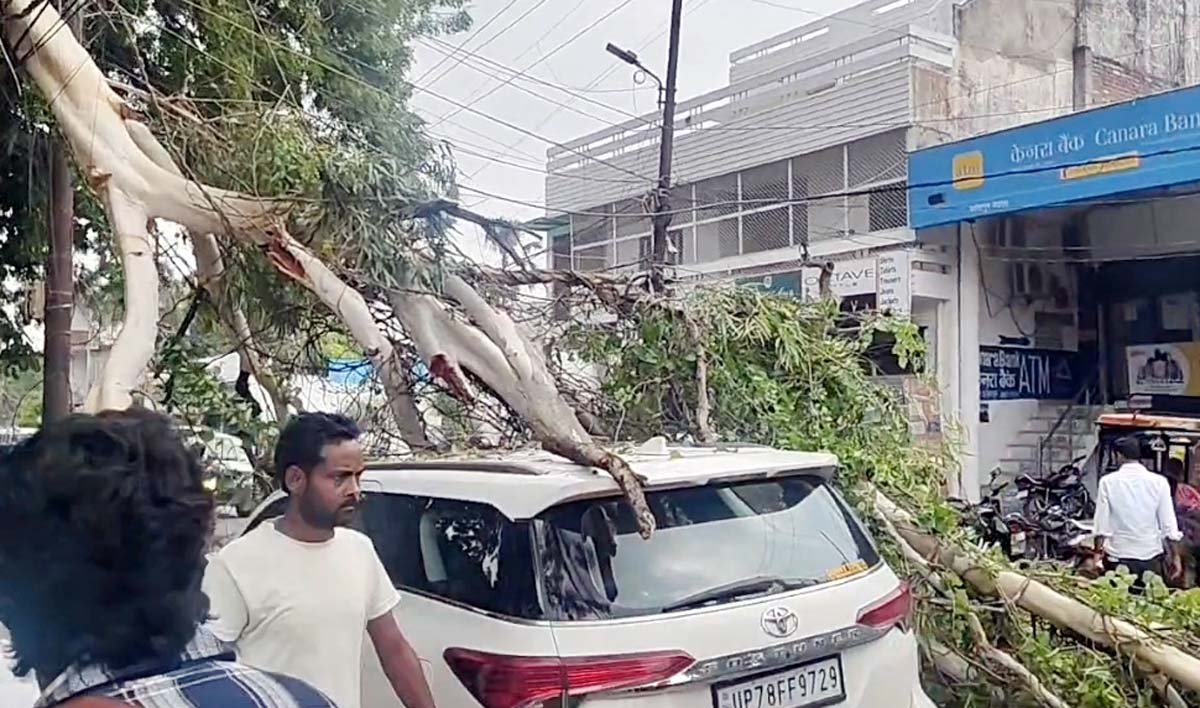 हादसा: पेड़ की डाल गिरने से फार्च्युनर चकनाचूर