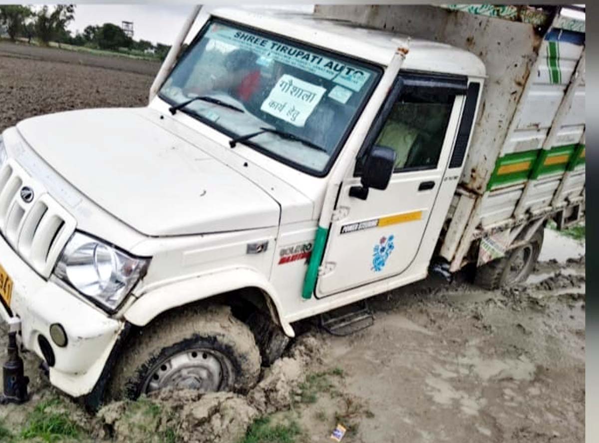 दलदल में फंसा गौशाला का चारा, घंटों जूझते रहे कर्मचारी