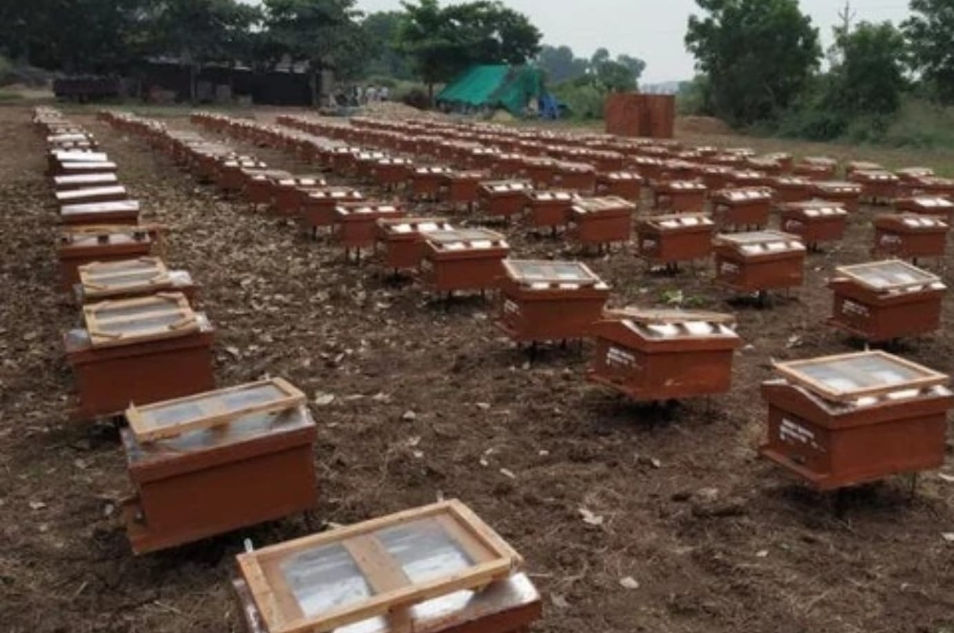 बेरोजगारों को मुफ्त मिलेंगे पांच हनी बॉक्स व प्रशिक्षण