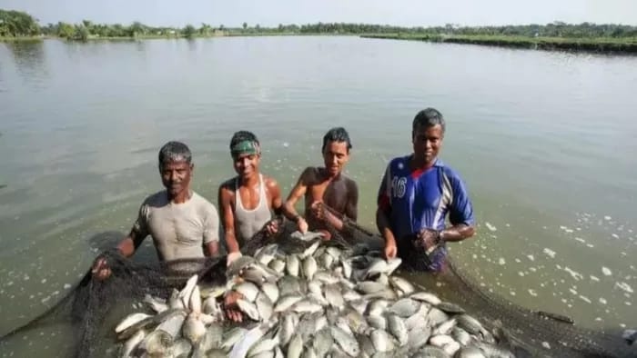 मत्स्य विभाग की योजनाओं के लिए पांच तक करें आवेदन