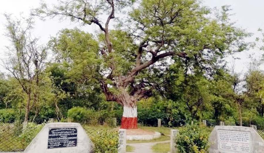 बावनी इमली: ऐसी धरा, जिस पर 52 शहीदों ने हंसते हंसते दे दी थी जान