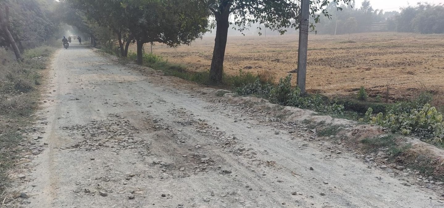 कई सालों से कच्ची सड़क छोड़ गए ठेकेदार, मोहल्लेवासी हो रहे परेशान