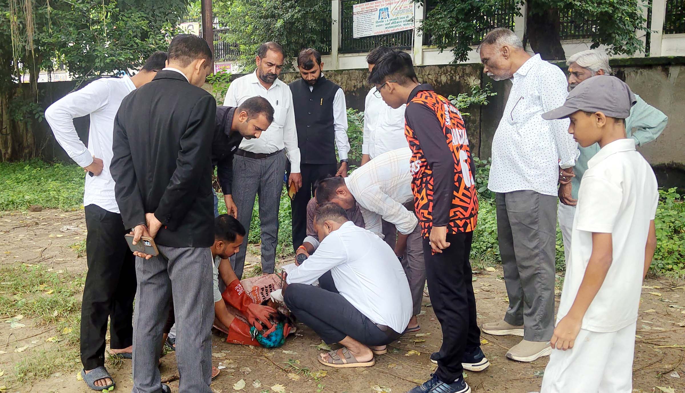 नागरिकों व अधिवक्ताओं ने बचाई जान, वन विभाग व चिकित्सकीय टीम ने संभाला मोर्चा