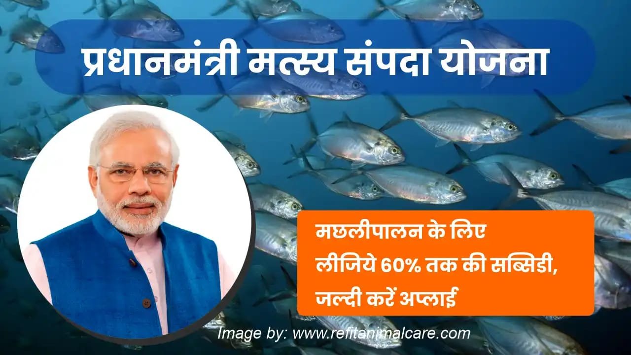 मत्स्य संपदा योजना में 27 सितंबर तक करें आवेदन,अन्य लघु ख़बरों के साथ