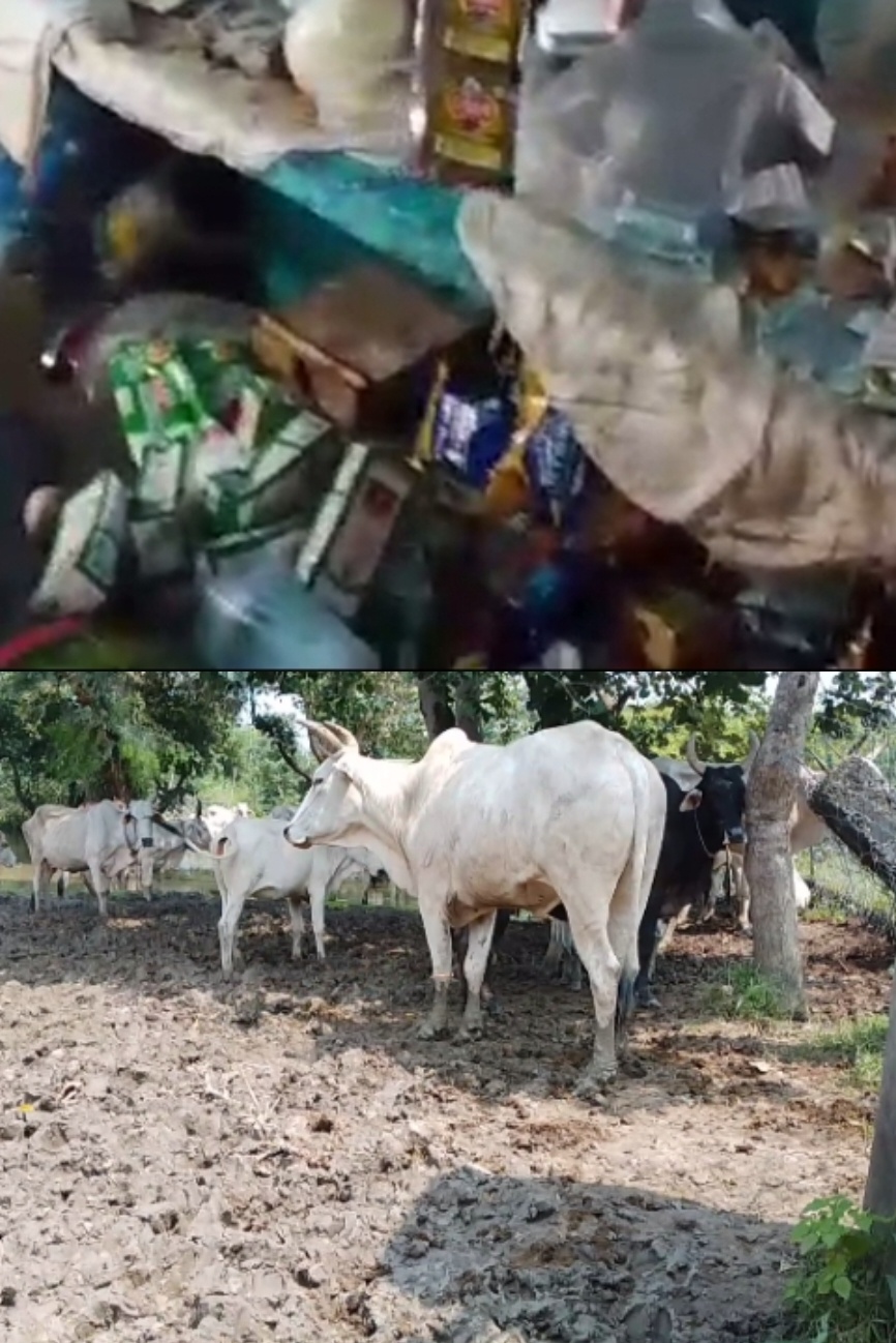 बाँदा के लामा में कथित अवैध शराब बिक्री का आरोप