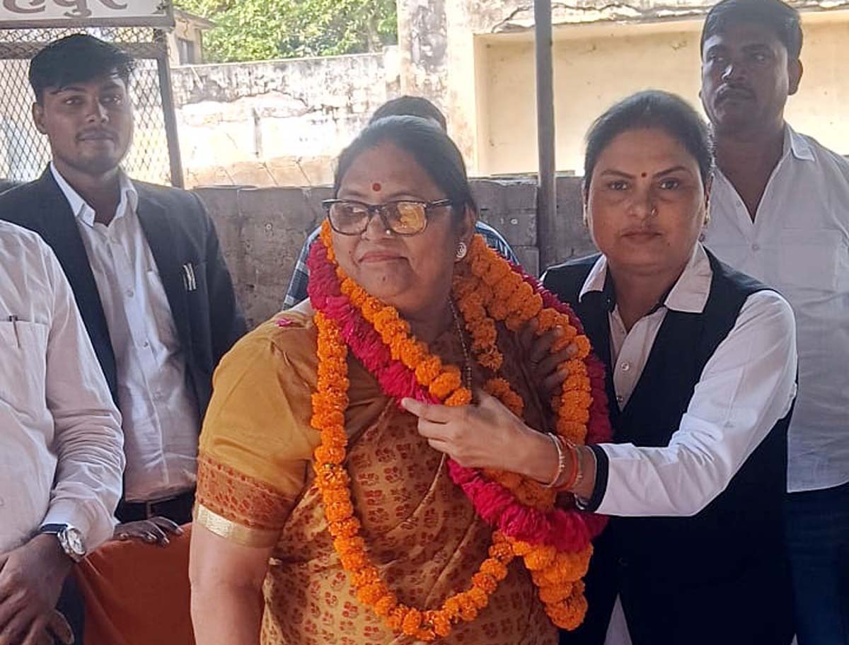 राज्यमंत्री का अधिवक्ताओं ने किया स्वागत, निस्तारण का दिया आश्वासन